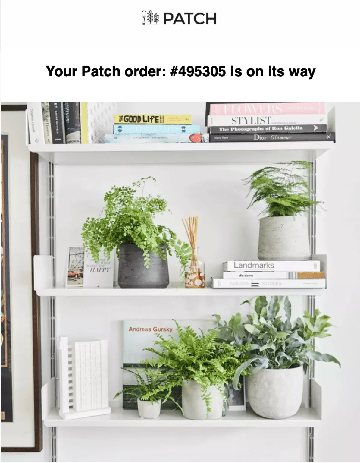 Shipping update email from Patch Plants with order status and estimated delivery date